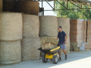 Brouette électrique 24v / 600w s2 20 min - alitrak - dt-300e_2