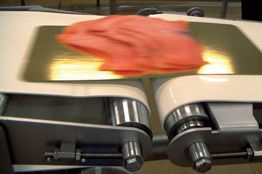 Bandes transporteuses monomatières pour l’industrie agroalimentaire - Mafdel - imperméables, imputrescibles et conformes aux normes internationales_2