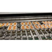 Tunnel de dorage et de gratinage infrarouge - pour l'industrie agro-alimentaire_2