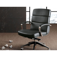 Fauteuil de Direction DARWIN - Ref : DARWB_2