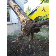 Doigt de manutention pour de petit travaux manutention, déplacement de débris - hh0_2