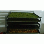 TK-40 - Four pour séchage avec plateaux - capacité 320 kg à 800 kg - 24 heures_2