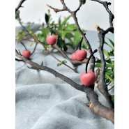 Cherry - Moule en silicone Gourmand Horeca Pavoni Italia - 35 empreintes_2