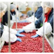 TM 160 - Tambours moteurs Powertrans - Vitesse 0.13ms à 3.3ms - Étanchéité IP66/IP68 - Moteur bi-vitesse Dahlander_2