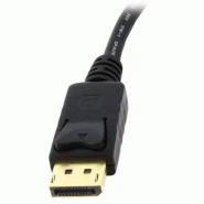StarTech Adaptateur vidéo DisplayPort vers DVI_2
