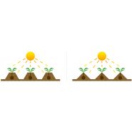 Vibro-butteuse agricole avec coffre - SPEDO f.lli srl - modèles VB2F/75 à VB4F/90_2