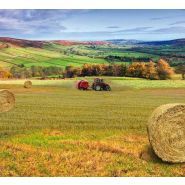 Easy Max Tronic SP1500 - Presse à balle ronde Supertino - Diamètre balle jusqu'à 150 cm_2