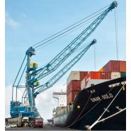 Grue mobile Lhm 420 pour transport sûr de colis et conteneurs