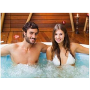 Appareil anti-calcaire Vulcan - Professionnel et écologique pour l'hôtellerie, la restauration et les centres de vacances_2