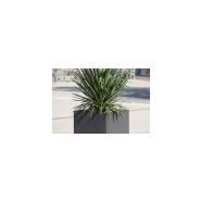 Jardinière 720 - ABES - Aluminium, carré ou rectangulaire - Hauteur avec pieds : 810 mm_2