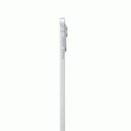 IPad Pro 11p M4 2 To cellular - Argent_2