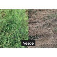 Faca rouleau agricole - Sky Agriculture - 2,75 à 6 m - 10 lames vrillées 100x10 mm - diamètre 607 mm_2