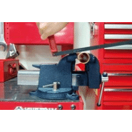 Étaux d'établis 170 mm d'ouverture - 304021_2