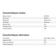 Générateur électrique triphasé Diesel 20000 ta xl avr export haute performance