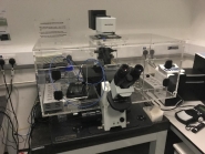 Système d'incubation pour microscopes Olympus - Compatibilité IX71-IX81, IX73-IX83 - TIRF et Super Résolution_2