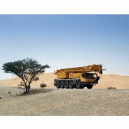 Ltm 1095-5.1 grue mobile_2