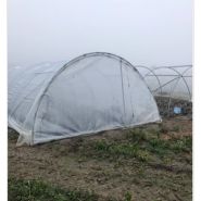 Fraisier renforcé - serre tunnel professionnelle - Serres Natural - largeur 4,00m avec porte panneau mobile_2