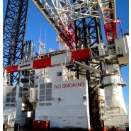 RL 2650 - Grue portuaire offshore Liebherr - Capacité de levage max 60t et portée max 54m_2