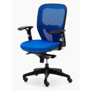 Fauteuil de bureau BATZ - Résille couleur - Soutien lombaire réglable - Référence 6392 FR206_2