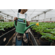 Appareil anti-calcaire vulcan sans sel et sans produits chimiques pour l'agriculture (plantation, arrosage, maraîchage)_2