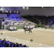 Clôture de carrière - horse stop - lice de dressage 20x40m - ref. Ld2040_2