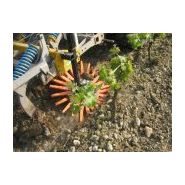 Bineuses à doigts viticulture et arboriculture - k.U.L.T.-kress - vitesse de travail 4 - 15 km/h_2