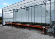 Buffer Javo - Convoyeur de tri pour pots et plateaux avec tapis haut de gamme et robots intégrés_2