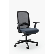 Fauteuil ergonomique BL_2