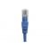 Cordon RJ45 CAT 5e U/UTP non blindé - 0,3 m - Bleu - Composite cuivre aluminium_2