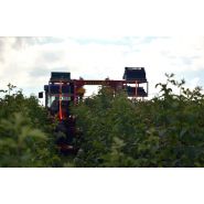 Récolteuse à framboises et myrtilles karen - weremczuk - puissance minimale requise 68 hp - capacité de charge 760 kg_2