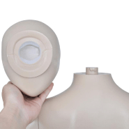 Vidaxl mannequin de vitrine femme tête ronde 30026_2