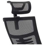 Fauteuil de bureau ergonomique avec appui-tête réglable en hauteur et en inclinaison -ORAXEAT RG400 Noir_2