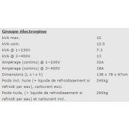 Groupe électrogène industriel EPS15054TE - 940001513 - Europower - GW661, 3000tpm, 50Hz, 4 temps, IP54_2