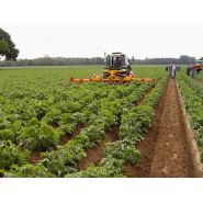 Sb02 - Butteuse agricole ZIBO - Châssis renforcé, rabattage hydraulique, 4 ou 8 rangs avec parallélogrammes_2