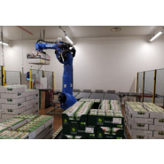 Palettiseurs et dépalettiseurs - Charges légères à lourdes - ID ROBOTIK_2