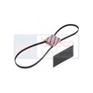 Courroie trapézoïdale - référence : cm-695610.26 - compatible NEW HOLLAND: TC56, TS110, TS115_2