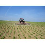 Bineuse spéciale betterave - Thomas Hatzenbichler Agro-Technik - barre profilée avec montage 3 points et disques stabilisateurs montés sur roulements à billes_2