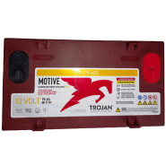 Batterie agm TROJAN t1275-aes 12v 130 ah_2