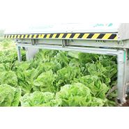 Grand récolteuse autotractée sur chenilles 9200 Lattuga - Ortomec SRL - moteur turbo-diesel 74 CV - personnalisable pour laitues pommées_2