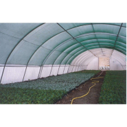 Serre horticole par excellence - BRETAGNE_3