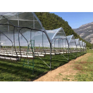 Serre à travées multiples à structure gothique conçue pour les régions soumises à de fortes chutes de neige - Multieasy_2