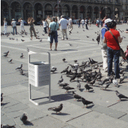 Corbeille athens urban_2