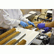 Élévateur agroalimentaire - configurations personnalisées - inox alimentaire et bande transporteuse_2