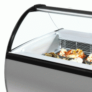 Congélateur vitré de glace ISABELLA 10LX (155 / 132 kg) Gris TEFCOLD_2