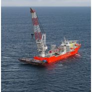 BOS 35000 - Grue portuaire offshore Liebherr - Capacité de levage max 1 250 t - Portée 102 m_2