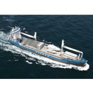 Cbb 4700-450 grues de bord Liebherr - relevage de flèche par câble - commande Litronic - système Sycratronic_2