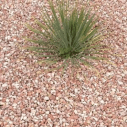 Gravier de marbre rose 15/20 - Granulat décoratif haut de gamme, fabriqué en France_2