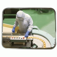 Miroir industrie et logistique - en acier inoxydable - pour environnements contraints et contrôle 2 directions_2
