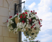 Vasque à Chaînette - Hauteur 780/830mm - Ø 410/530/700mm - Volume 8.5/25/50L - PEHD teinté dans la masse - Bonne résistance aux UV_2