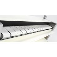 19010103 - Sécheuse-repasseuse Fagor - rouleau 200 et 325 - hauteur table 990 - capacité 10 à 20 kg/heure_2